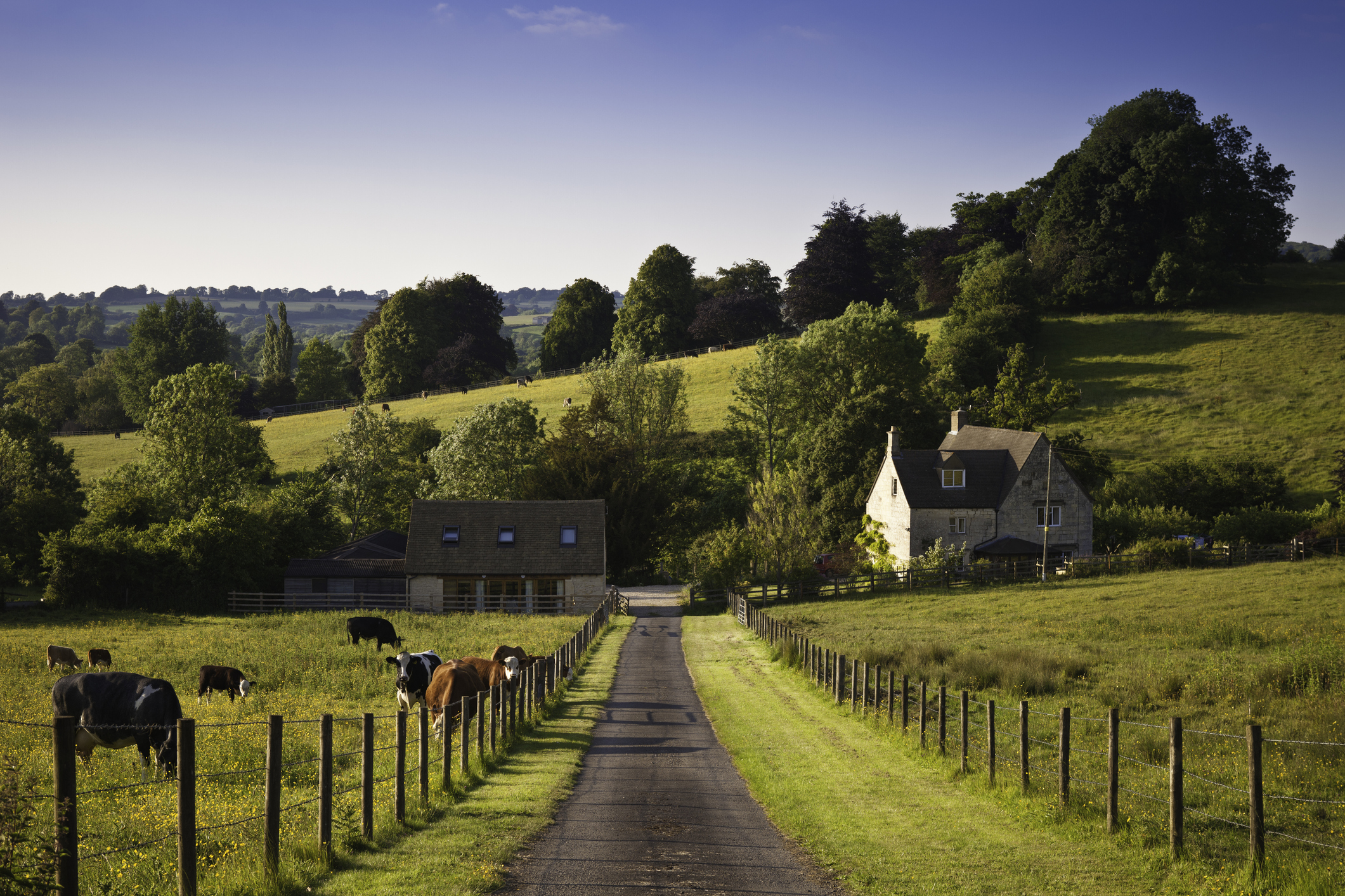 Energy-Efficient Lighting for Farms: Upgrading Old Systems for Modern Efficiency - blog post