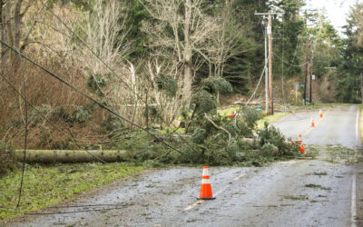 Power Outages Are Increasing – Is Your Home Ready?